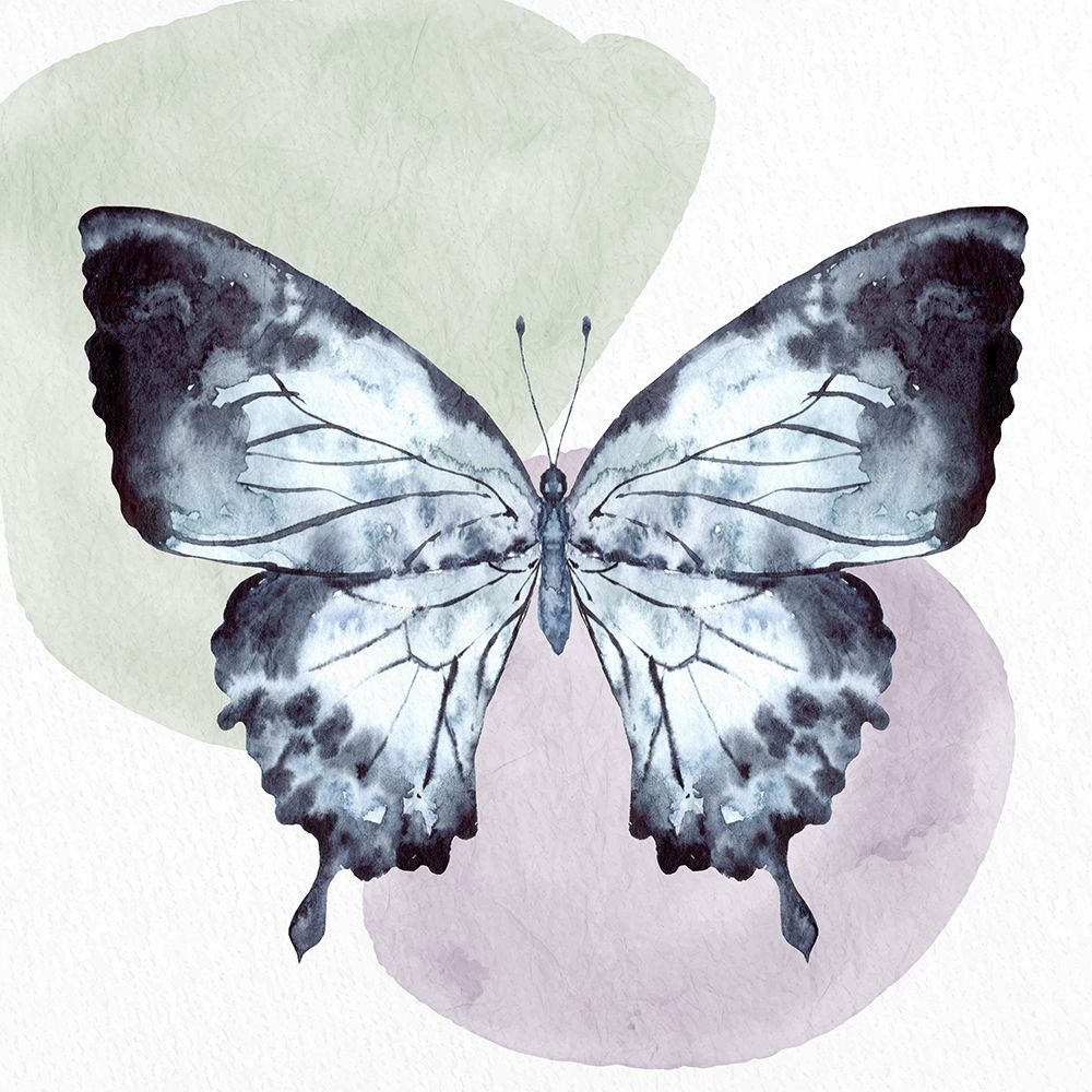 Butterfly Watercolor 1 art print by Kimberly Allen for $57.95 CAD