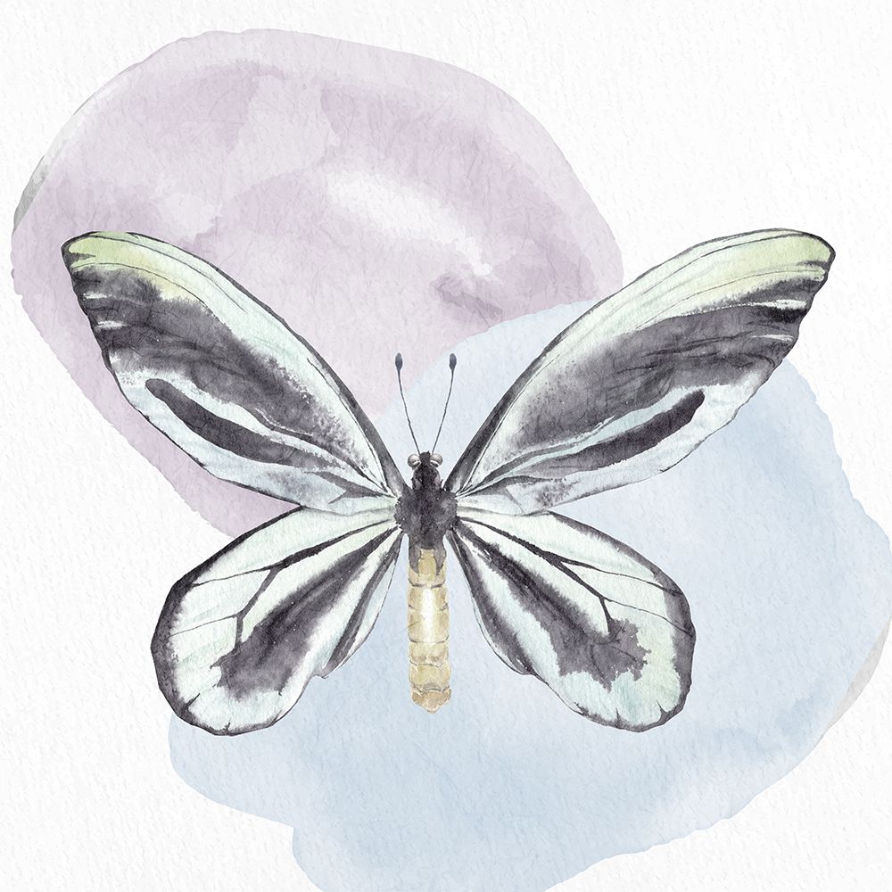 Butterfly Watercolor 2 art print by Kimberly Allen for $57.95 CAD