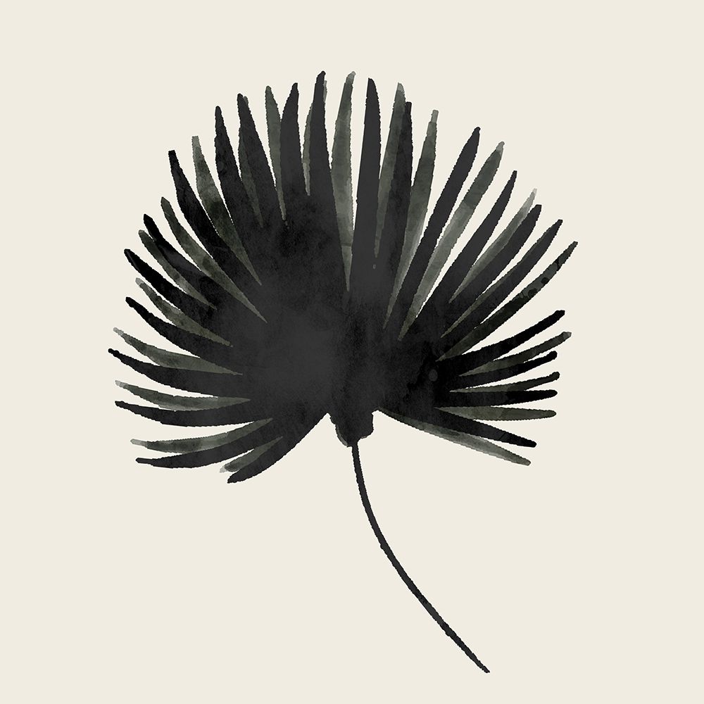 Fan Palm art print by Kimberly Allen for $57.95 CAD