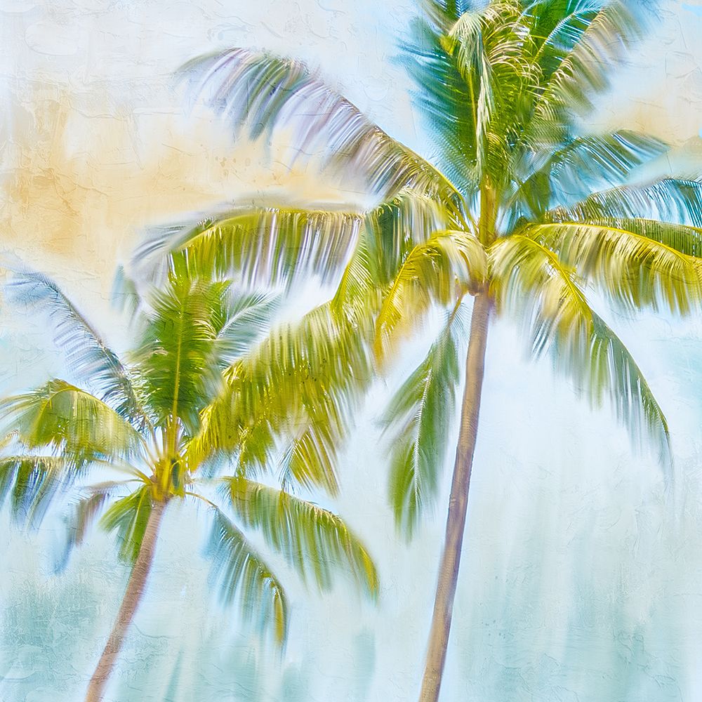 Sunset Palms 1 art print by Kimberly Allen for $57.95 CAD