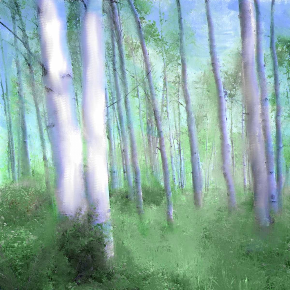 Aspen Grove art print by Kimberly Allen for $57.95 CAD