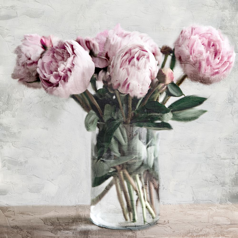 Soft Peonies art print by Kimberly Allen for $57.95 CAD