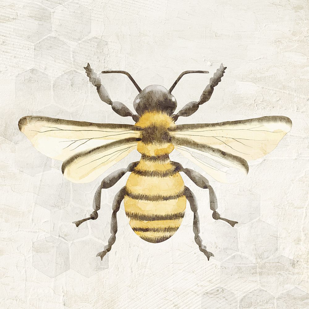 Honeybee 1 art print by Kimberly Allen for $57.95 CAD