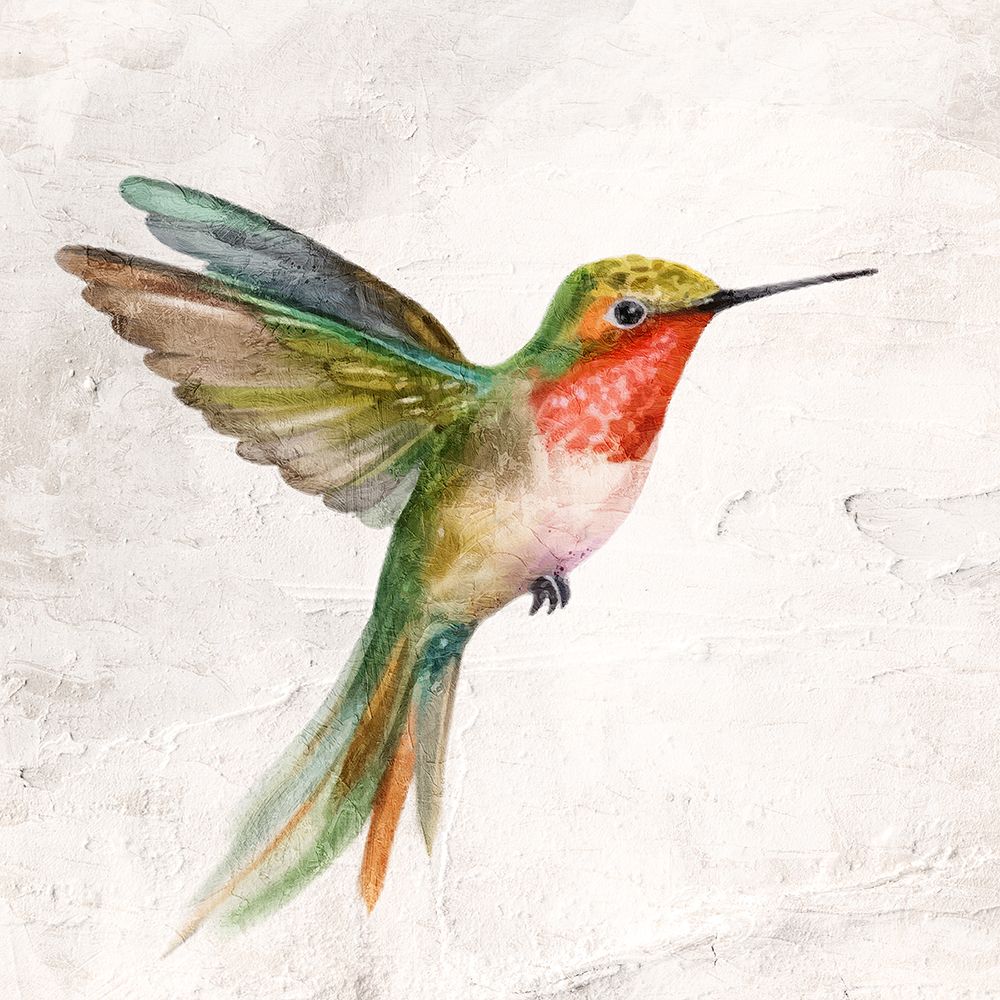 Flit 1 art print by Kimberly Allen for $57.95 CAD