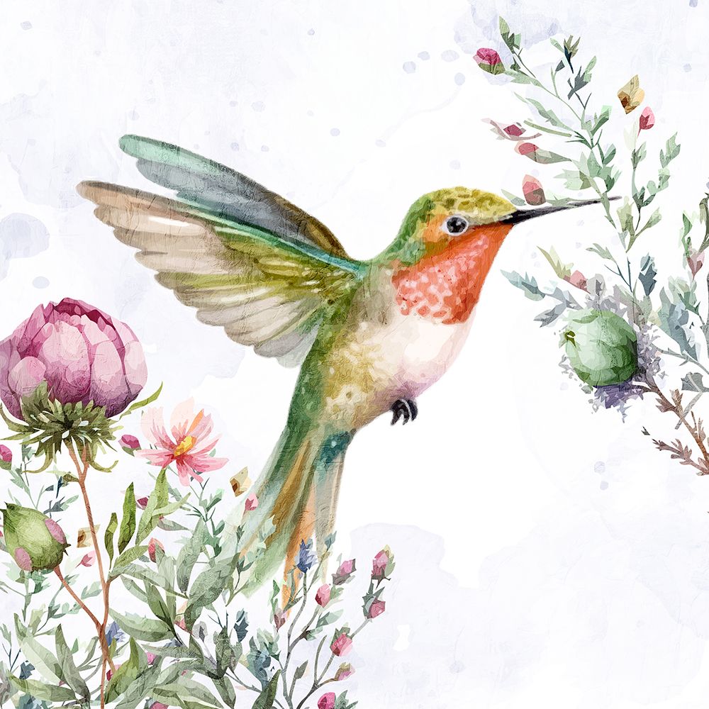 Hummingbird Wildflower 1 art print by Kimberly Allen for $57.95 CAD