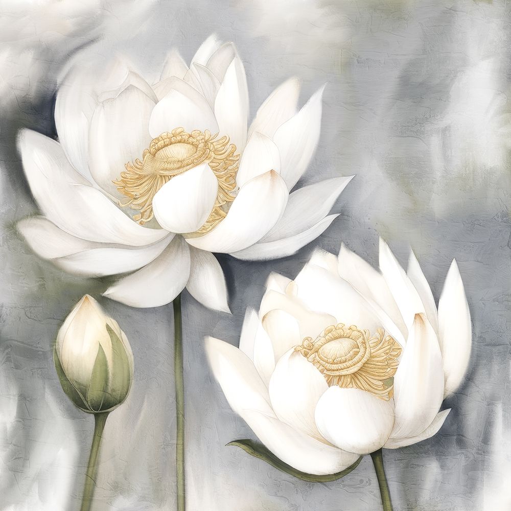White Lotus 1 art print by Kimberly Allen for $57.95 CAD