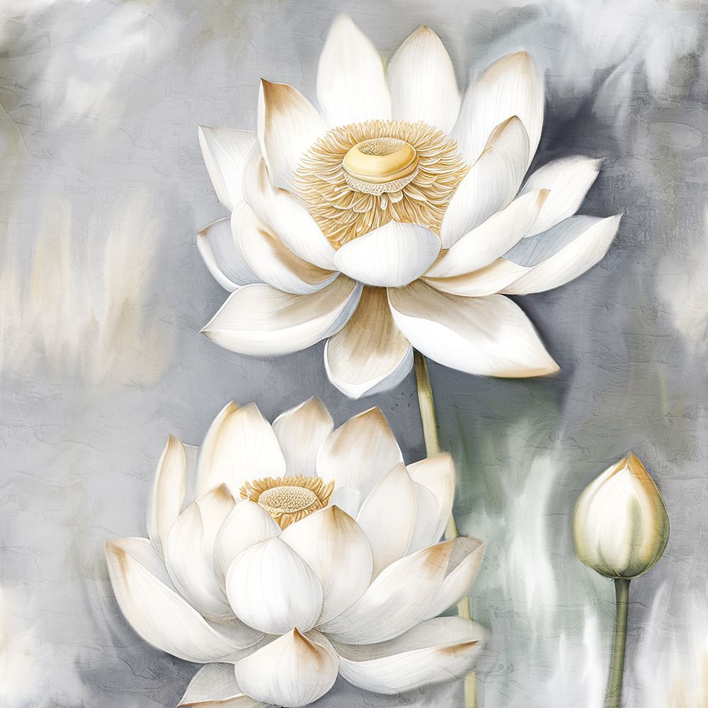 White Lotus 2 art print by Kimberly Allen for $57.95 CAD