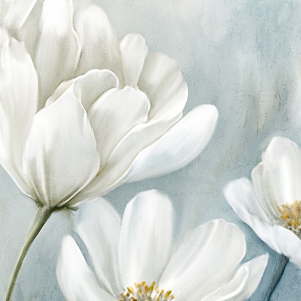 White Blooms 1 art print by Kimberly Allen for $57.95 CAD
