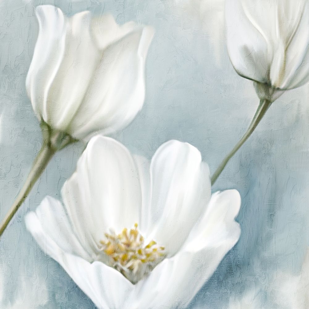 White Blooms 2 art print by Kimberly Allen for $57.95 CAD