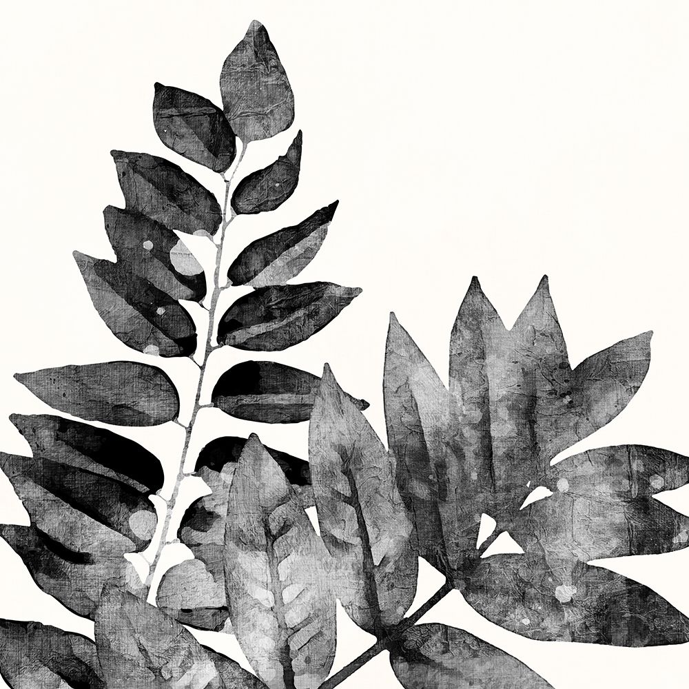 Imprint Leaves 2 art print by Kimberly Allen for $57.95 CAD
