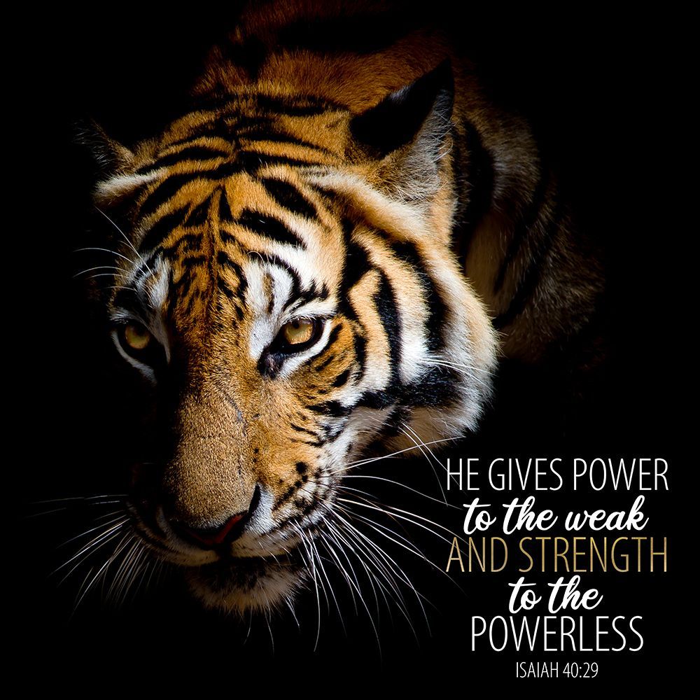 Power art print by Kimberly Allen for $57.95 CAD