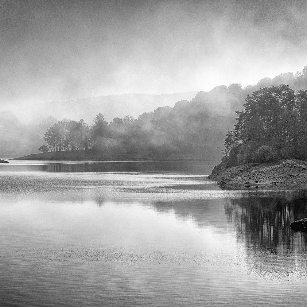 Dusk art print by Kimberly Allen for $57.95 CAD