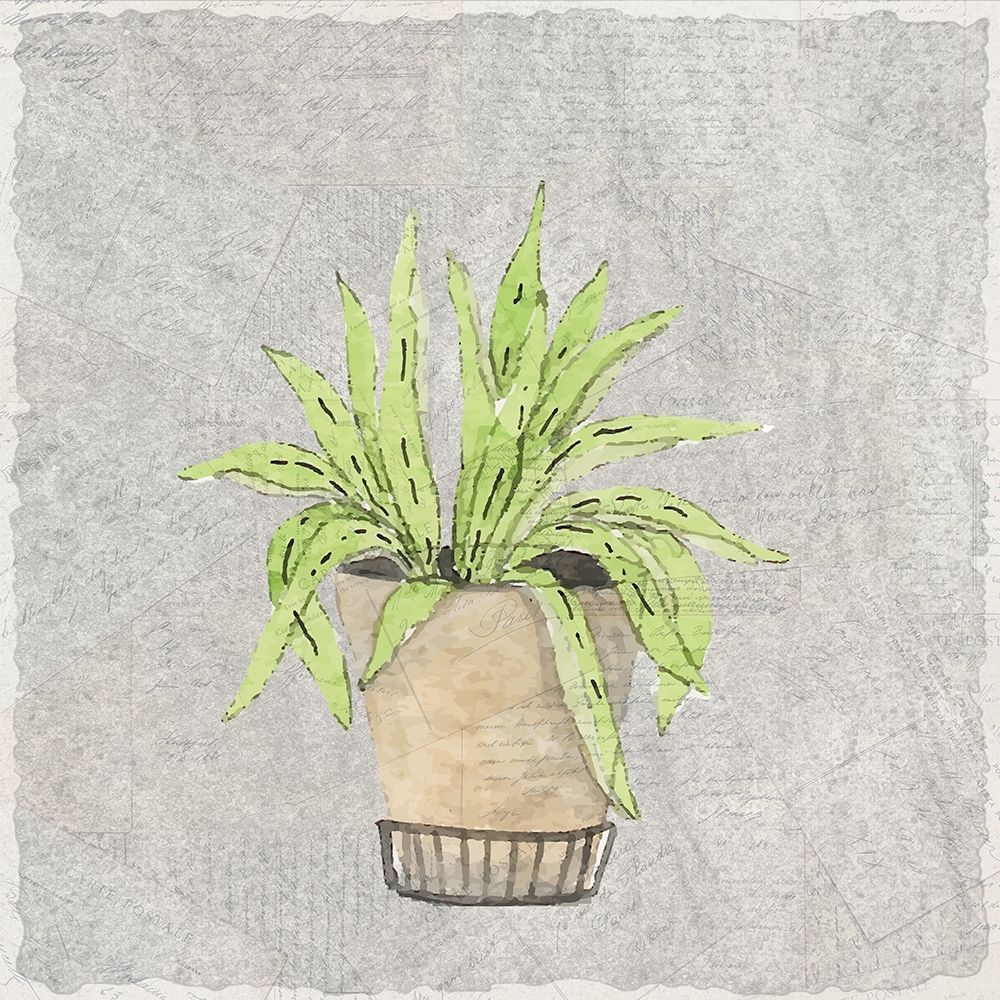 Potted Succulents 2 art print by Allen Kimberly for $57.95 CAD