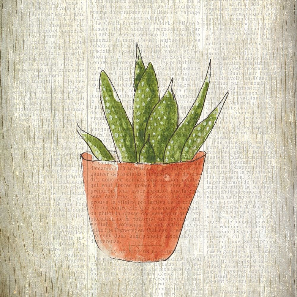 Spring Cactus 3 art print by Allen Kimberly for $57.95 CAD