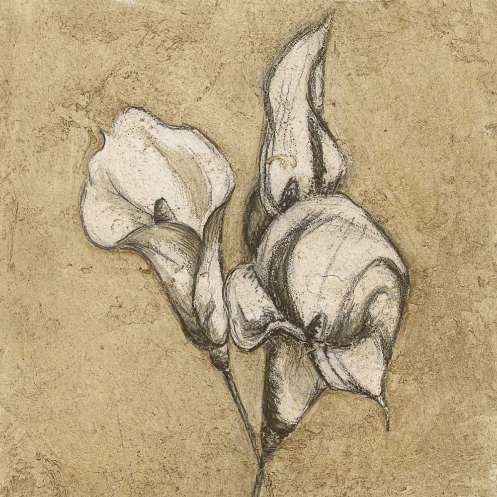 Calla Lily III art print by Kristin Emery for $57.95 CAD
