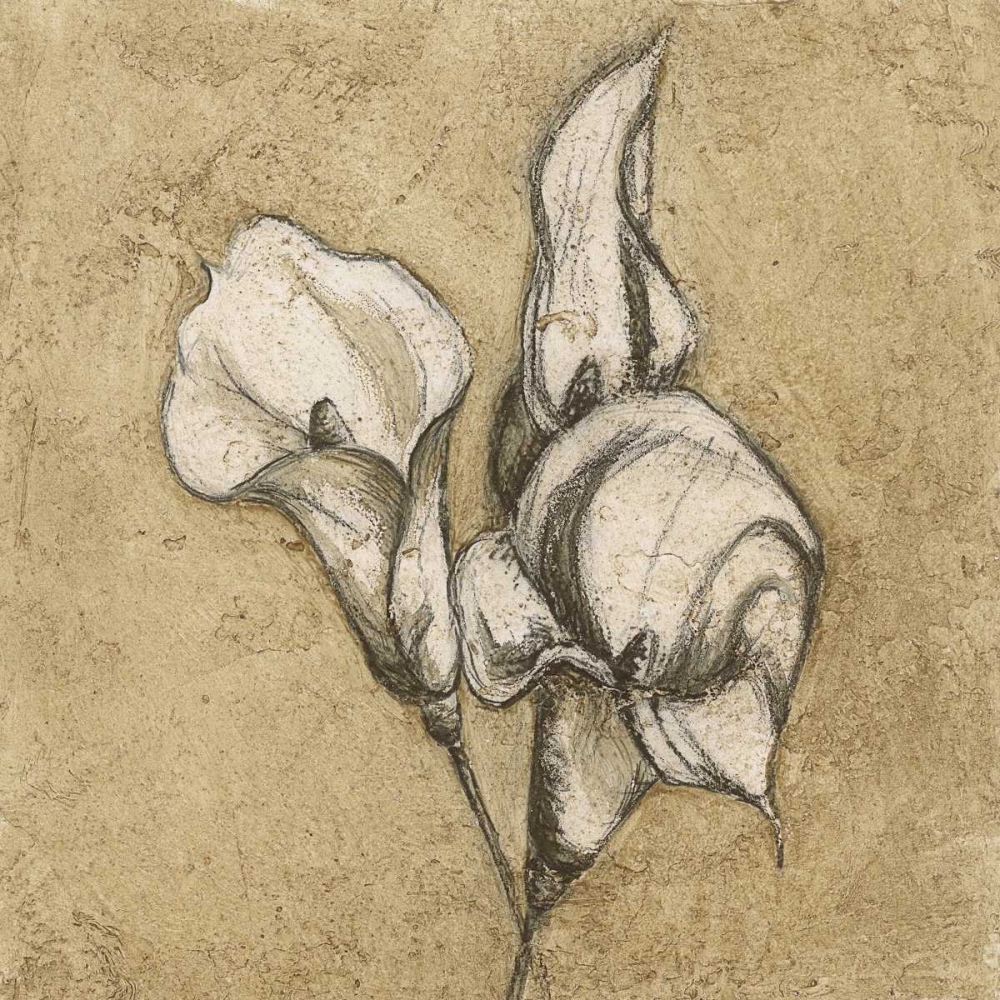 Calla Lily I art print by Kristin Emery for $57.95 CAD