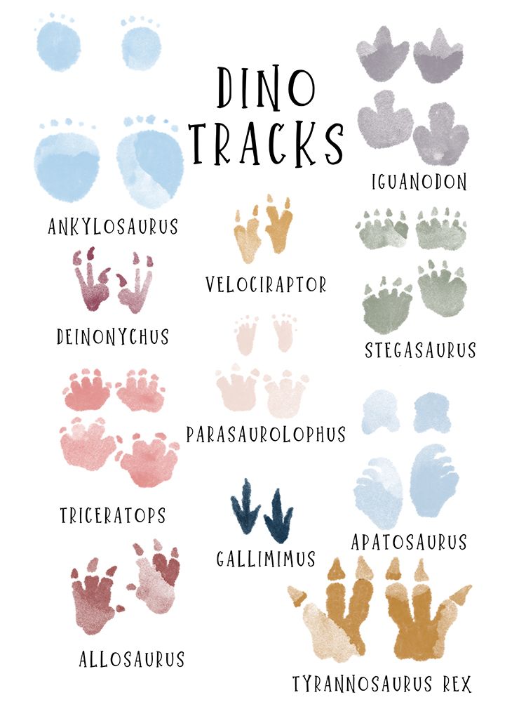 Dino Tracks art print by Katie Griggs for $57.95 CAD