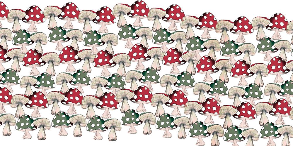 Crowd Of Mushrooms 2 art print by Sara Elizabeth for $57.95 CAD