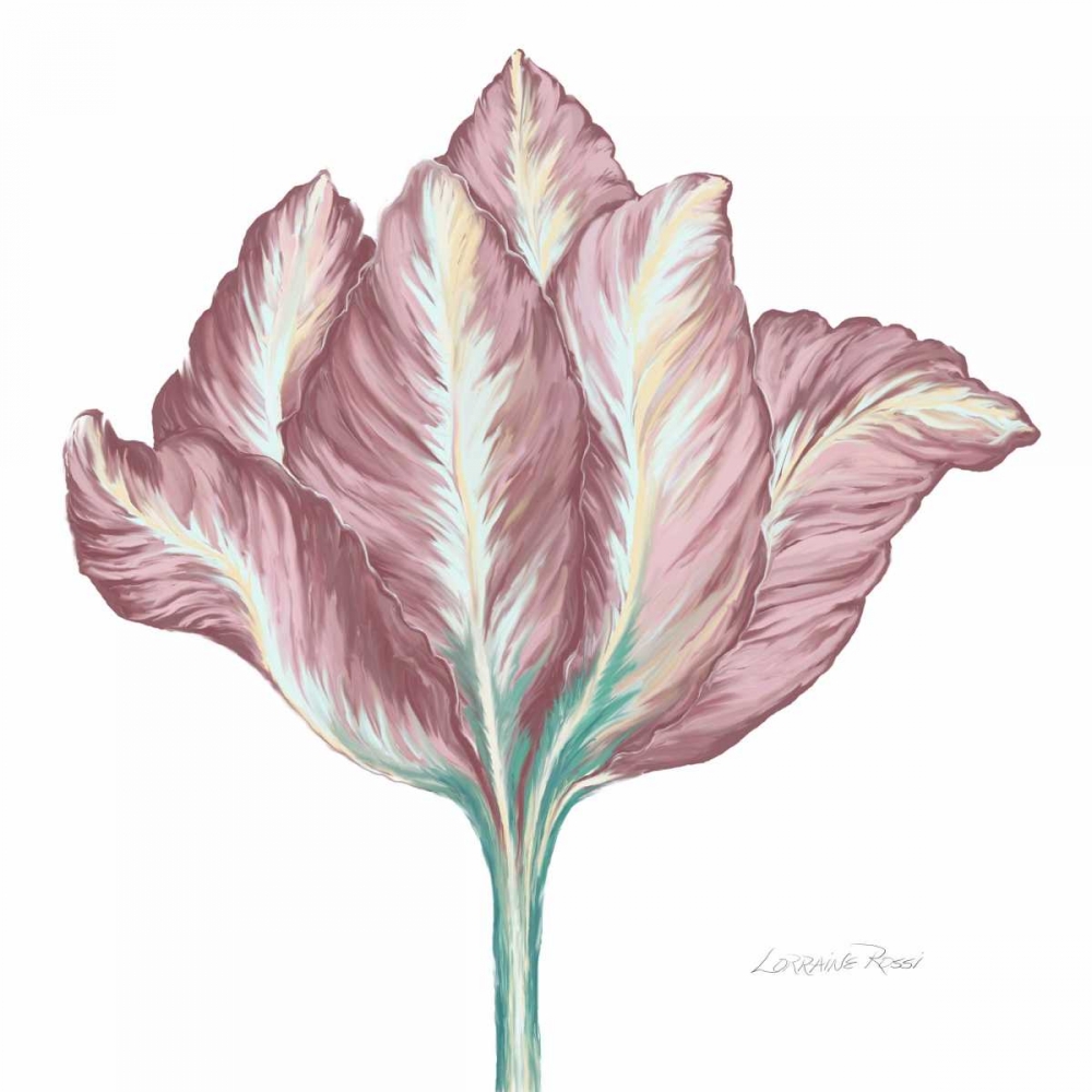 Romantic Tulip 2 art print by Lorraine Rossi for $57.95 CAD