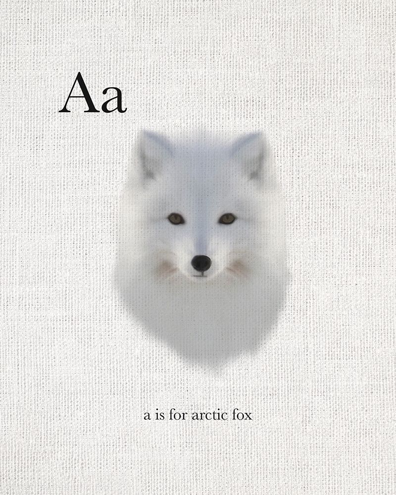 A Arctic Fox art print by Leah Straatsma for $57.95 CAD