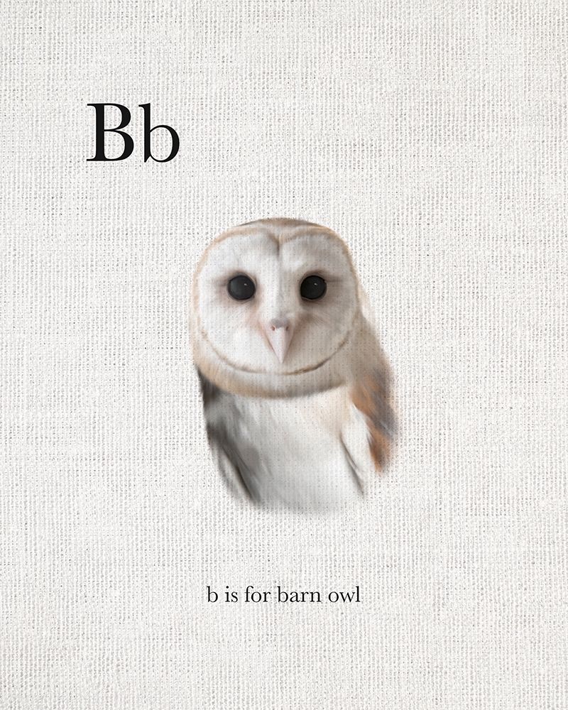 B Barn Owl art print by Leah Straatsma for $57.95 CAD