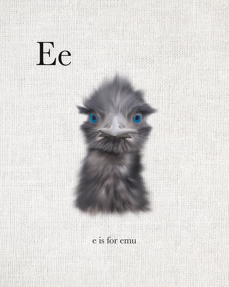 E is for Emu art print by Leah Straatsma for $57.95 CAD