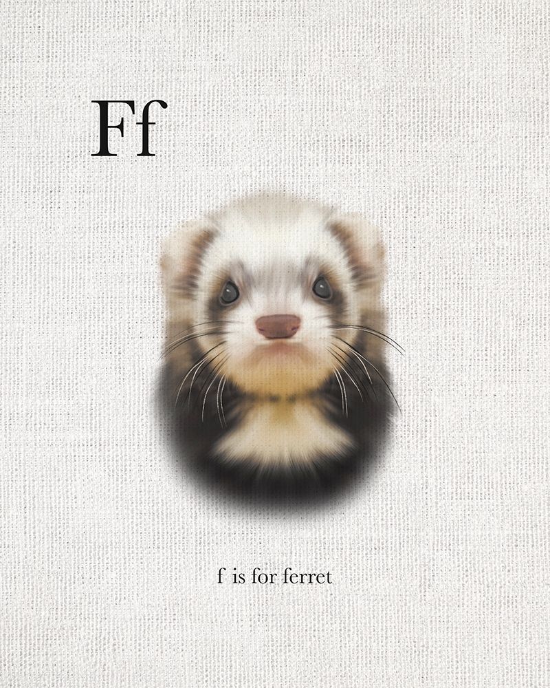 F is for Ferret art print by Leah Straatsma for $57.95 CAD