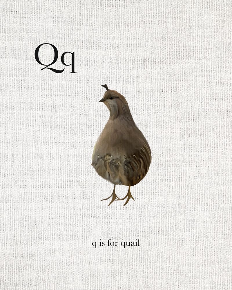 Q is for Quail art print by Leah Straatsma for $57.95 CAD