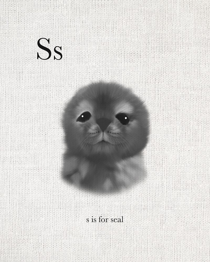 S is for Seal art print by Leah Straatsma for $57.95 CAD