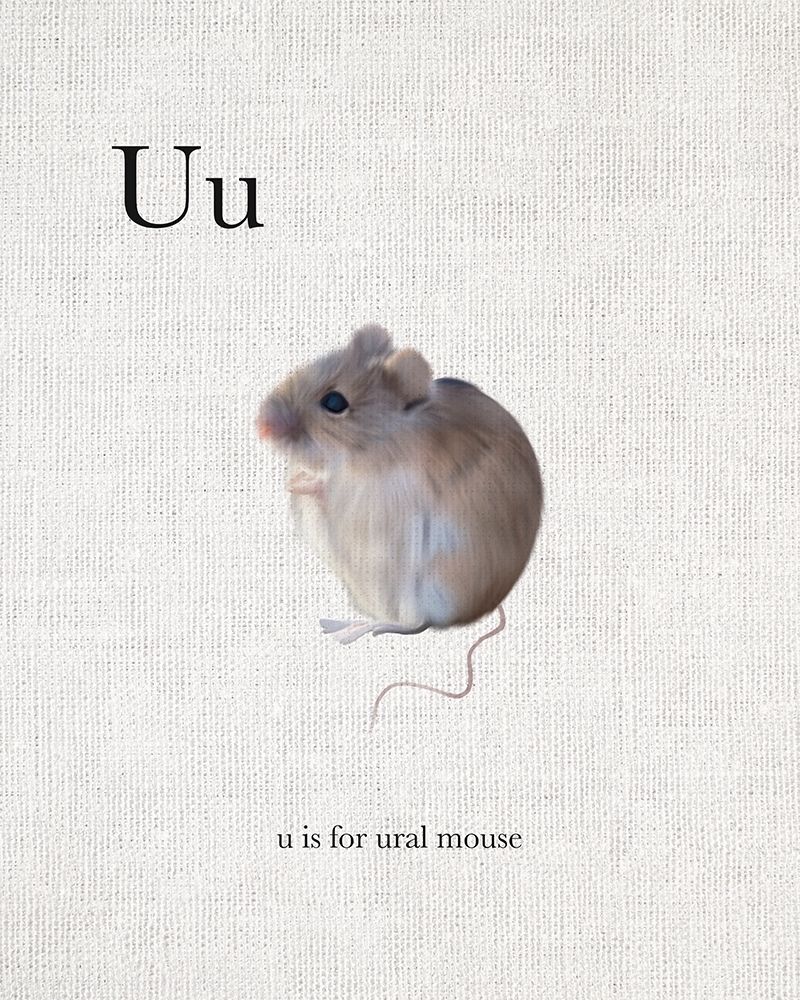 U is for Ural Mouse art print by Leah Straatsma for $57.95 CAD