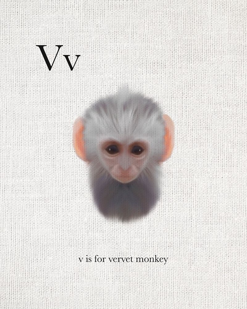 V is for Vervet Monkey art print by Leah Straatsma for $57.95 CAD