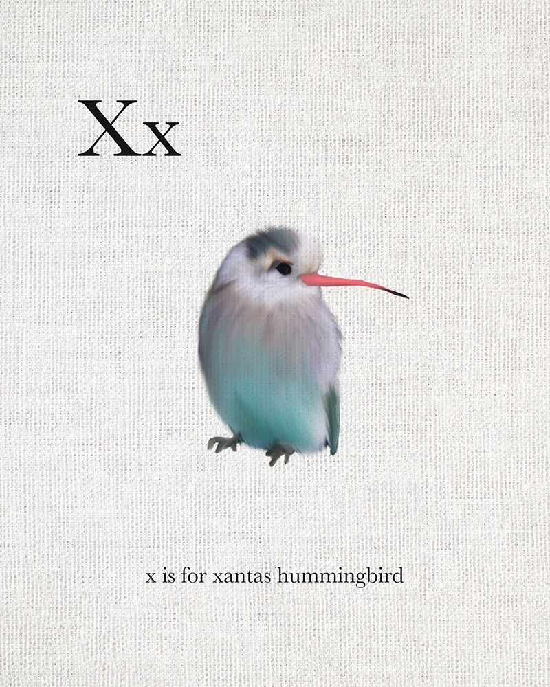 X is for Xantas Hummingbird art print by Leah Straatsma for $57.95 CAD