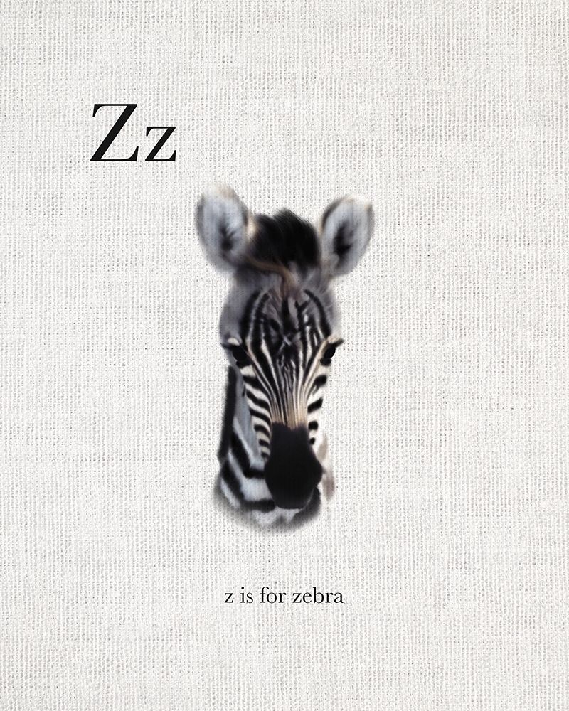 Z is for Zebra art print by Leah Straatsma for $57.95 CAD