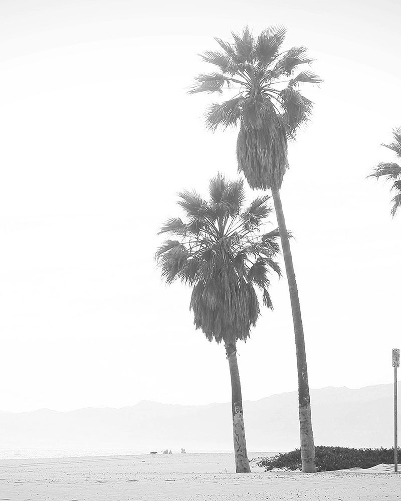 Palm Trees art print by Leah Straatsma for $57.95 CAD