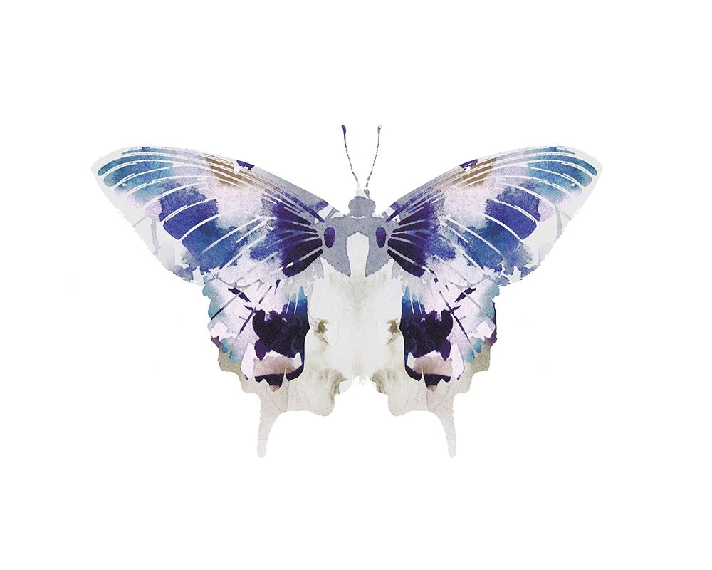 Butterfly 3 art print by Leah Straatsma for $57.95 CAD