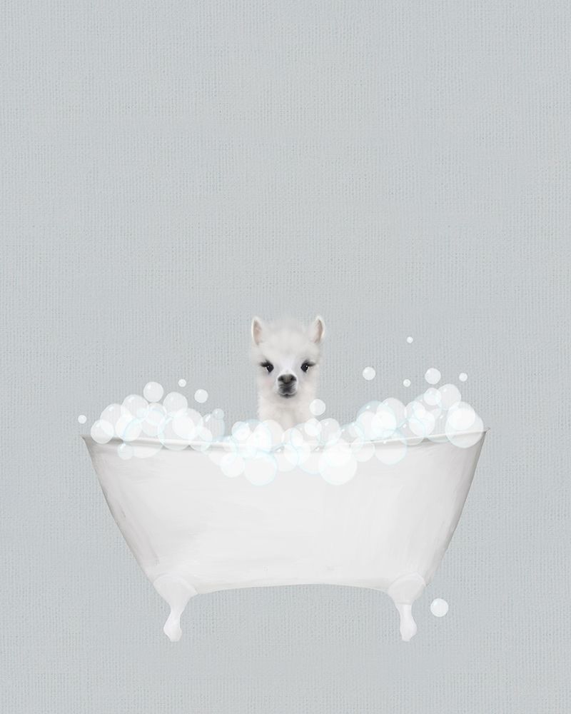 Alpaca Blue Bath art print by Leah Straatsma for $57.95 CAD