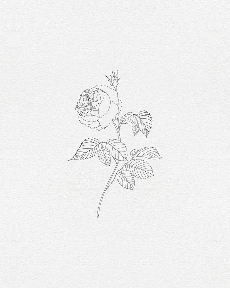 Black Rose 3 art print by Leah Straatsma for $57.95 CAD