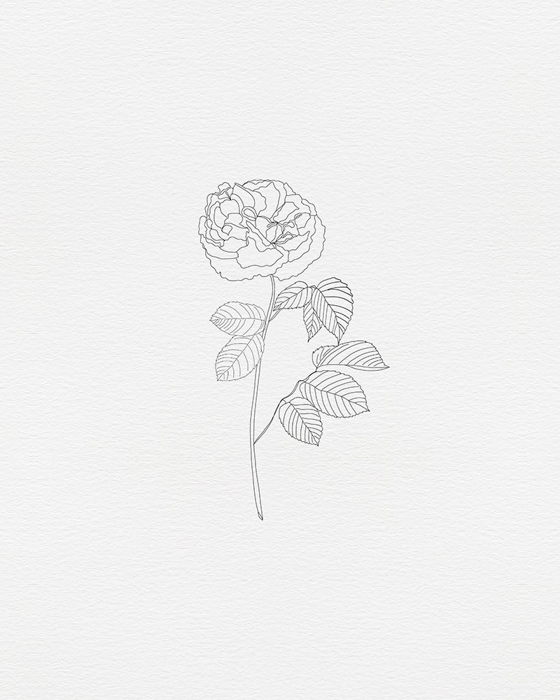 Black Rose 4 art print by Leah Straatsma for $57.95 CAD