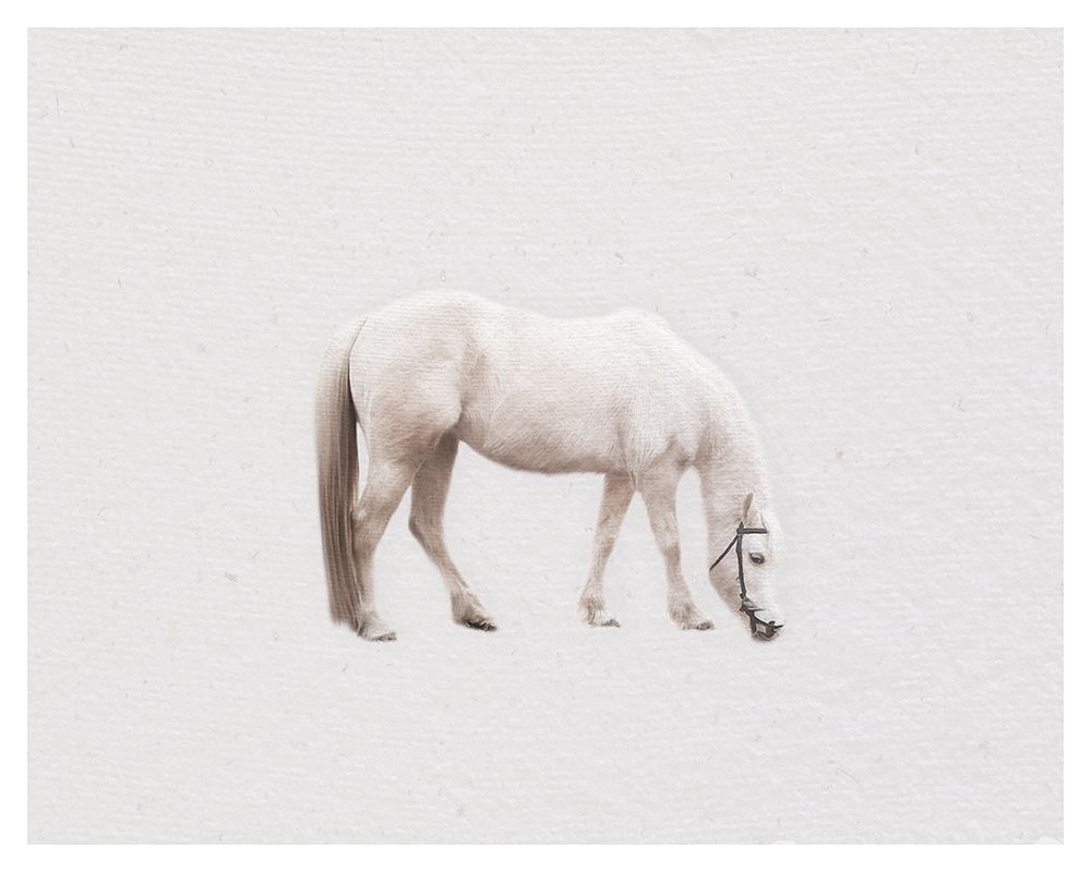Horse Minimal art print by Leah Straatsma for $57.95 CAD