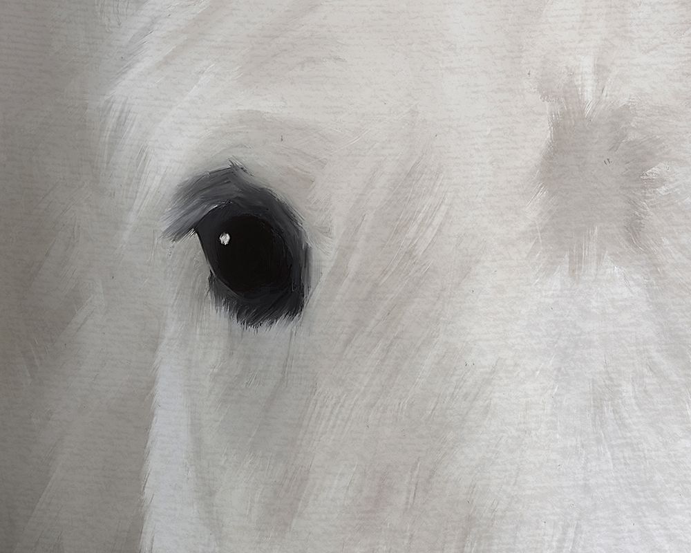 Pale Horse art print by Leah Straatsma for $57.95 CAD