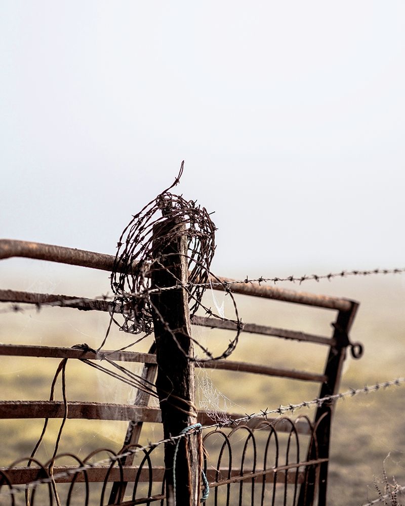 Rusty Fence art print by Leah Straatsma for $57.95 CAD