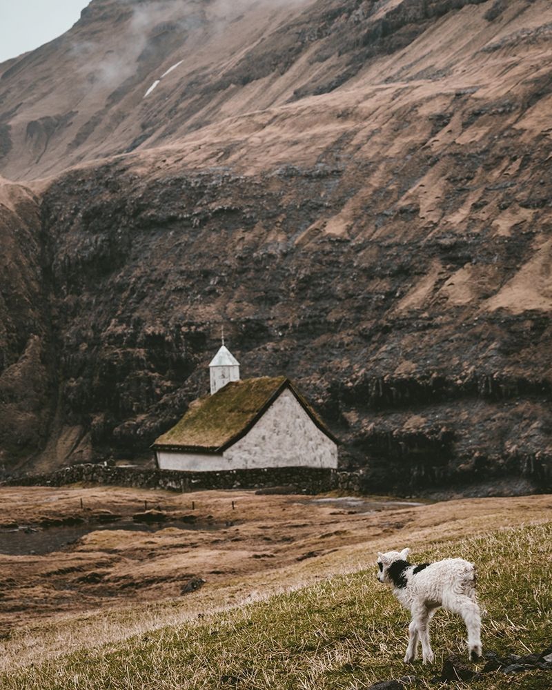 Moody Lanscape with Sheep and Chapel Barn art print by Leah Straatsma for $57.95 CAD