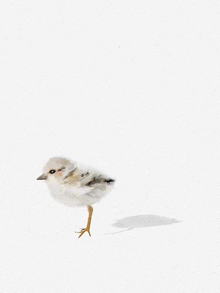 Baby Shorebird art print by Leah Straatsma for $57.95 CAD