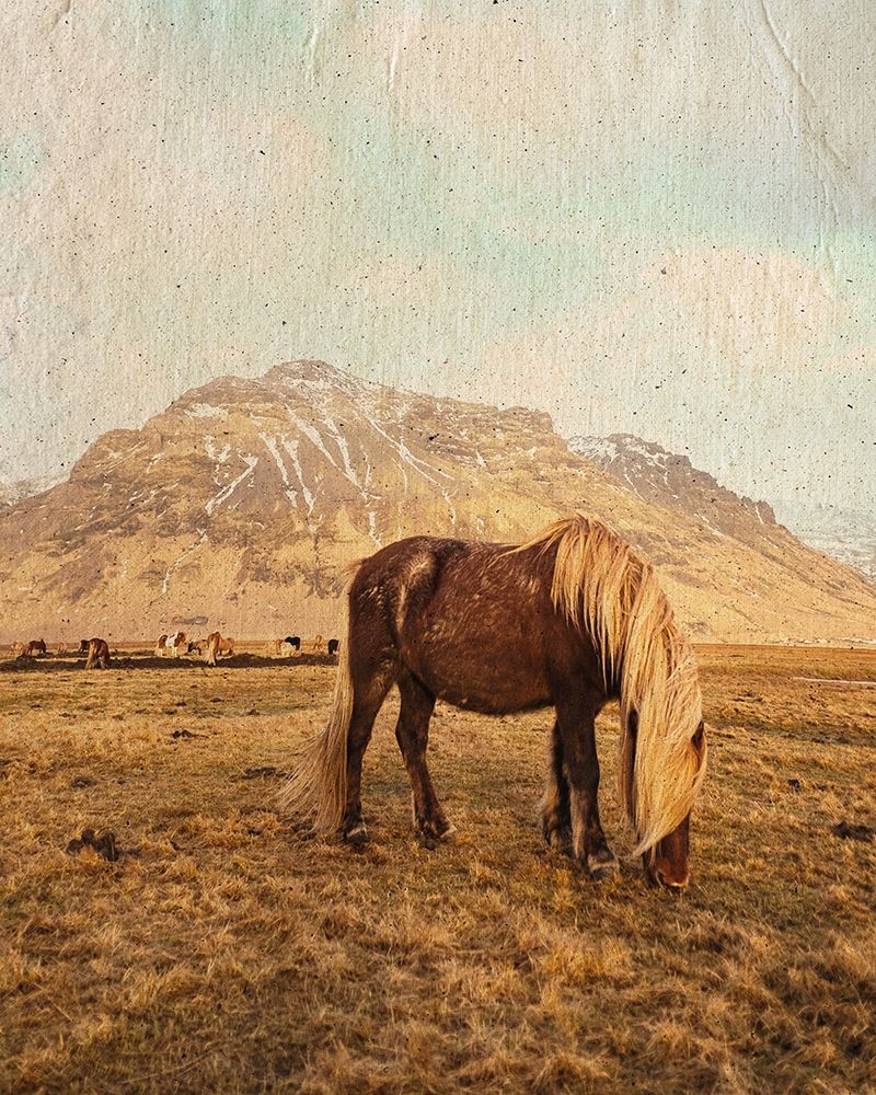 Home on the Range art print by Leah Straatsma for $57.95 CAD