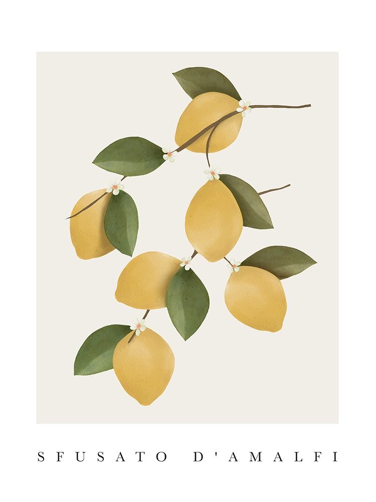 Amalfi Lemons art print by Leah Straatsma for $57.95 CAD