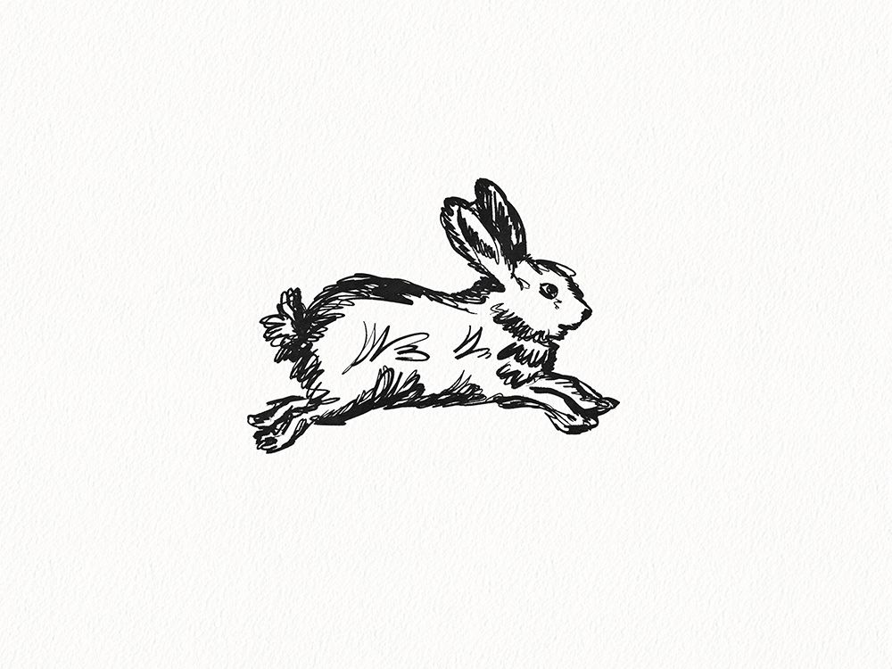 Fluffy Baby Hare art print by Leah Straatsma for $57.95 CAD