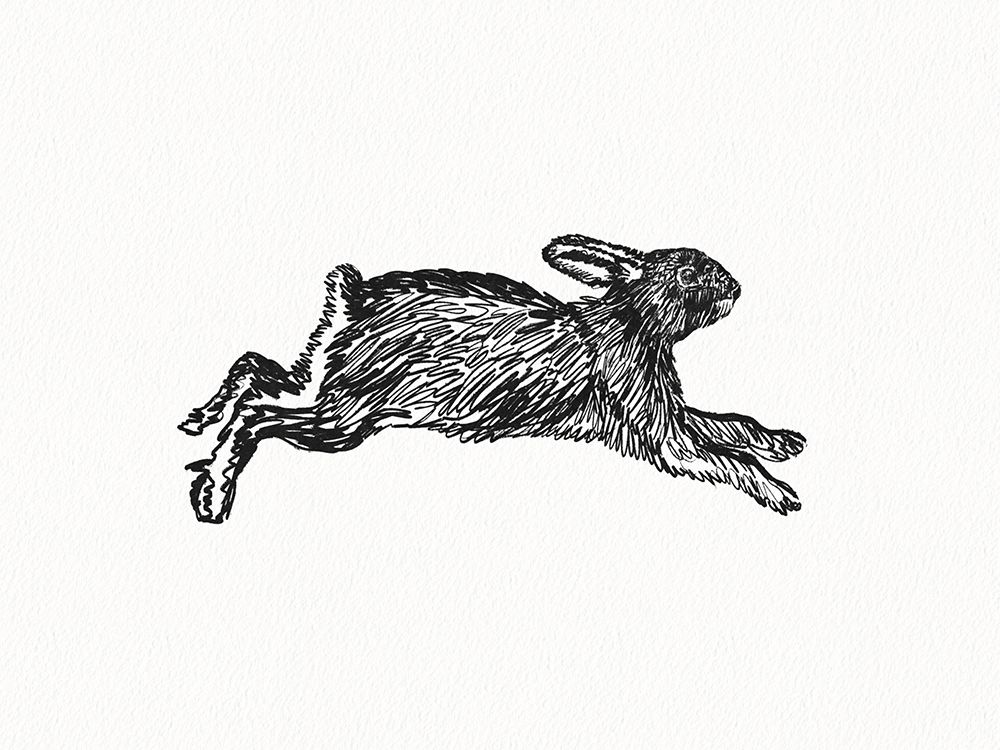 Inky Hare art print by Leah Straatsma for $57.95 CAD