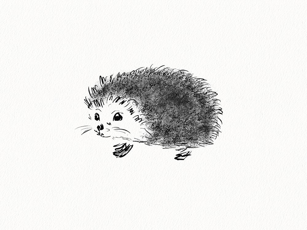 Hedgehog art print by Leah Straatsma for $57.95 CAD