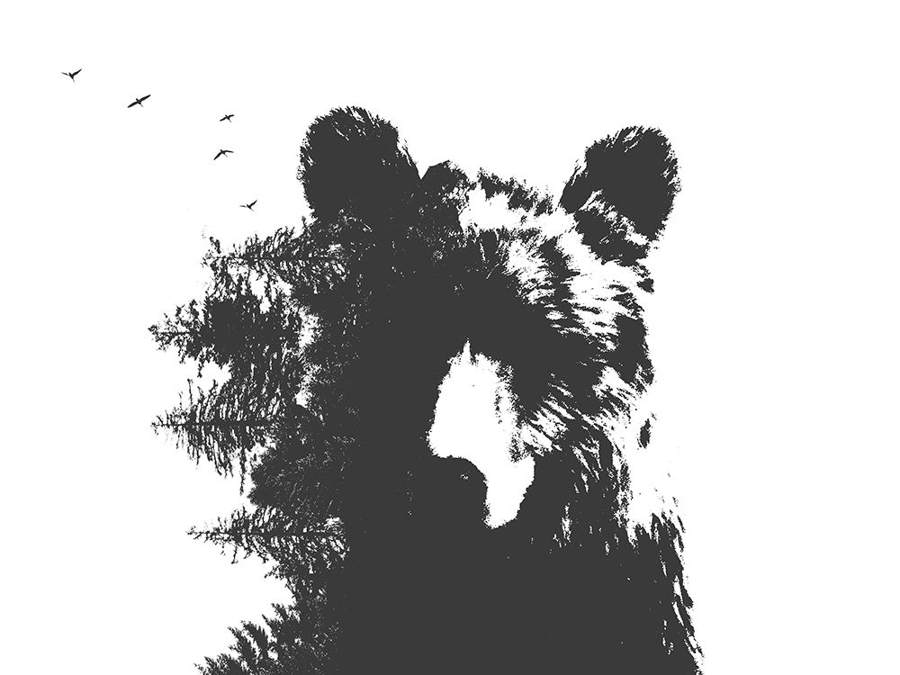 Mountain Bear art print by Leah Straatsma for $57.95 CAD