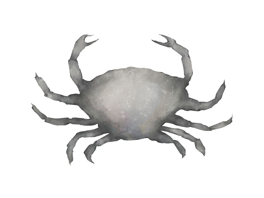 Grey Crab art print by Leah Straatsma for $57.95 CAD